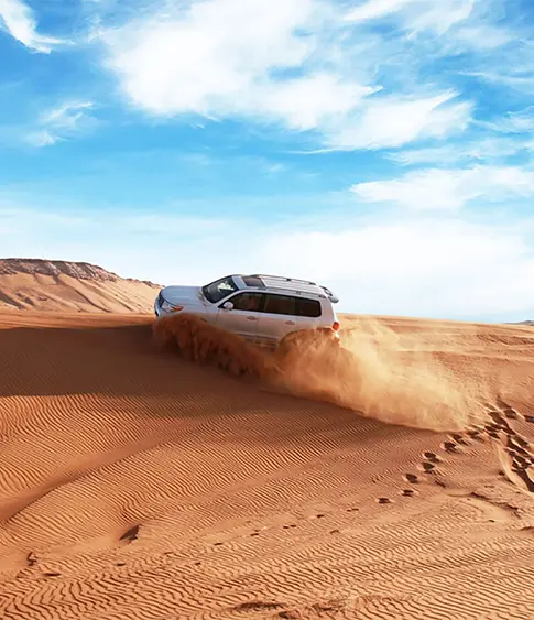 Desert Safari In Dubai